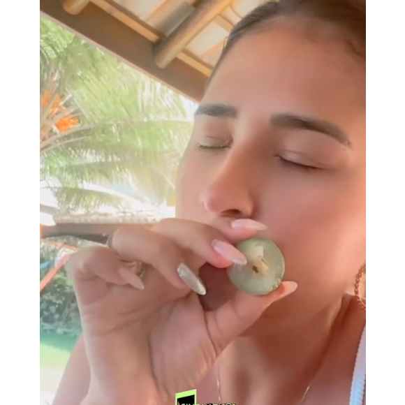 Fruto do umbuzeiro, o umbu é uma fruta redonda, pequena e verde que se destaca por seu sabor doce e refrescante