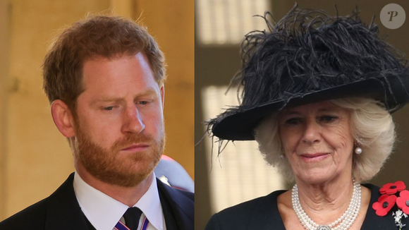 De acordo com a People, a escritora Catherine Mayer afirmou que "não há reconciliação" entre Príncipe Harry e Rei Charles III sem a presença da Rainha Camilla, reforçando a importância da rainha na atual dinâmica da família real
