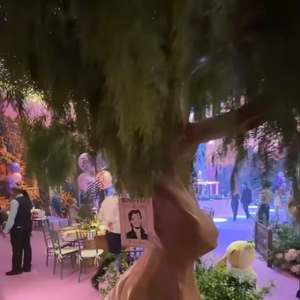 O aniversário de Maria Flor teve decoração inspirada no reino de Corona, de 'Enrolados'. Entre os detalhes do cenário estavam uma torre de pedras com vegetação trepadeira, mural pintado à mão, flores em tons de rosa e roxo e estruturas que recriavam a atmosfera de um conto de fadas