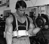 Antes de Hollywood, Arnold Schwarzenegger já fazia sucesso com sua carreira no fisiculturismo, onde conquistou muitos prêmios
