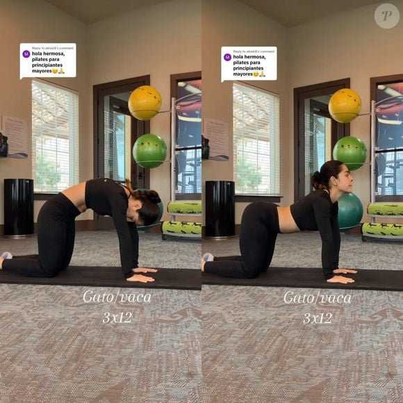 Posição de gato-vaca no Pilates trabalha toda a extensão da coluna, com movimentos para baixo e para cima, aliviando a tensão existente na região.