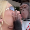 'Virgínia beijou o macaco ciente de que…': referência nos estudos antirracistas, Carla Akotirene DETONA influenciadora e aponta machismo de Vini Jr.