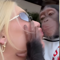 'Virgínia beijou o macaco ciente de que…': referência nos estudos antirracistas, Carla Akotirene DETONA influenciadora e aponta machismo de Vini Jr.