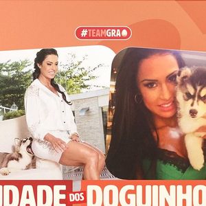 Internautas acreditam que Gracyanne Barbosa deve ser avisada do sumiço de sua cachorrinha