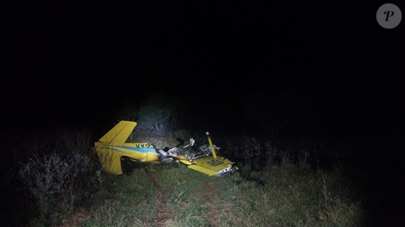 Segundo informações do Corpo de Bombeiros, o avião, modelo Cessna, precisou arremeter após uma manada de queixadas invadir a pista
