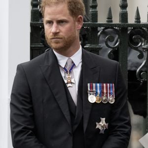 Príncipe Harry apoia a iniciativa e encoraja a esposa. O duque acredita que esclarecer as coisas reduziria a tensão entre as famílias