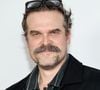 David Harbour foi denunciado por intimidação e as acusações não envolvem conduta sexual imprópria