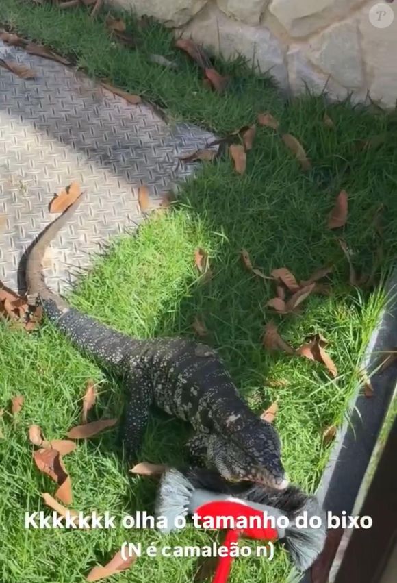 Enquanto o lagarto se irritava com a movimentação, as filhas de Virginia mostraram que já nasceram prontas para a fama e para o improviso