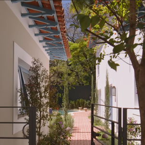 Casal tem três filhos pequenos e nove cachorros no total