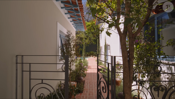 Casal tem três filhos pequenos e nove cachorros no total