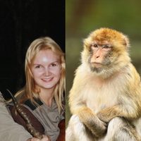 Marcos Kitano, marido esquartejado por Elize Matsunaga, teve crise de ciúmes por causa de um macaco: 'Seduz as mulheres'