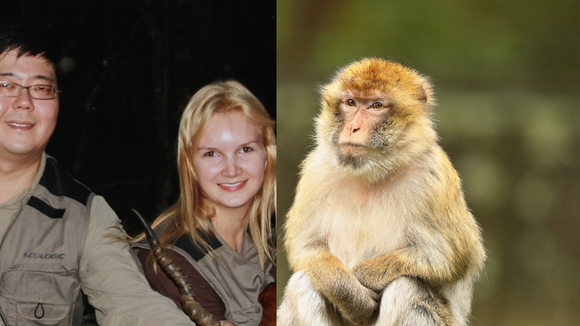 Marcos Kitano, marido esquartejado por Elize Matsunaga, teve crise de ciúmes por causa de um macaco: 'Seduz as mulheres'