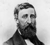 Henry David Thoreau (1817 - 1862) foi um importante filósofo e poeta, conhecido por pensamentos e reflexões sobre a vida