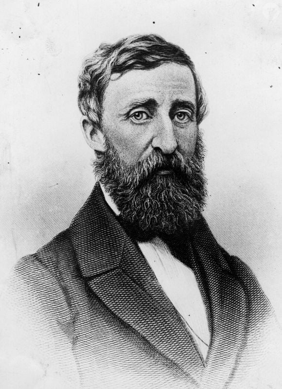 Henry David Thoreau (1817 - 1862) foi um importante filósofo e poeta, conhecido por pensamentos e reflexões sobre a vida