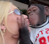 'Ela sabia exatamente o que estava fazendo': Virgínia Fonseca aparece beijando macaco e é acusada de incitar racismo pela web após término com Vini Jr.