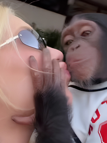 'Ela sabia exatamente o que estava fazendo': Virgínia Fonseca aparece beijando macaco e é acusada de incitar racismo pela web após término com Vini Jr.