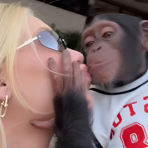 'Ela sabia exatamente o que estava fazendo': Virgínia Fonseca aparece beijando macaco e é acusada de incitar racismo pela web após término com Vini Jr.