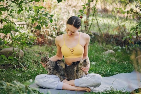 A combinação entre ioga e companhia felina já aparece na prática: locais como a Cat Care Society, abrigo nos Estados Unidos, promove aulas de ioga na presença de gatos disponíveis para adoção
