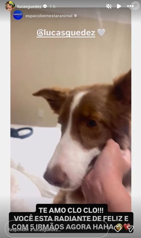 Lucas Guedez explicou que com a dona da escolinha Chloe ficou muito mais feliz