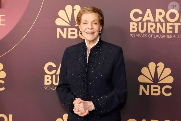 A atriz Julie Andrews, intérprete de Rainha Clarisse, não estará em O Diário da Princesa 3. Ela explicou a decisão em entrevista ao The Hollywood Reporter