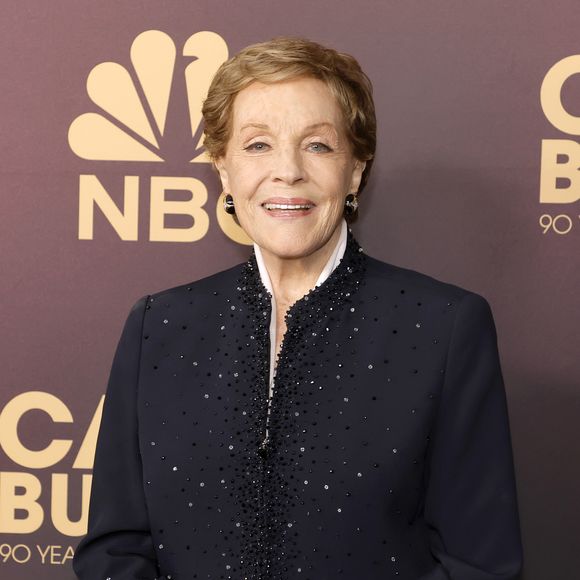 A atriz Julie Andrews, intérprete de Rainha Clarisse, não estará em O Diário da Princesa 3. Ela explicou a decisão em entrevista ao The Hollywood Reporter