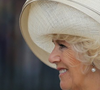 Segundo a revista People, a presença da Rainha Camilla no reencontro entre Príncipe Harry e Rei Charles III mostrou que a reconciliação familiar passa, obrigatoriamente, por ela. A autora Catherine Mayer definiu a rainha como uma figura "inegociável" na vida do monarca