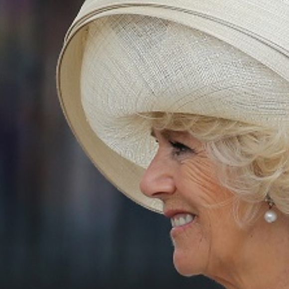 Segundo a revista People, a presença da Rainha Camilla no reencontro entre Príncipe Harry e Rei Charles III mostrou que a reconciliação familiar passa, obrigatoriamente, por ela. A autora Catherine Mayer definiu a rainha como uma figura "inegociável" na vida do monarca