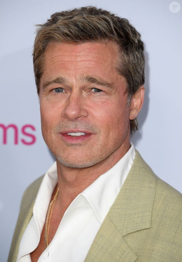 Brad Pitt explicou como organiza os períodos intensos de trabalho para conseguir conciliar a carreira no cinema com a vida familiar