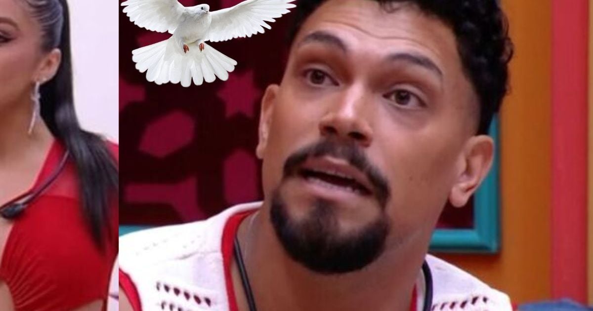 O que significa o termo 'pomba suja' usado por Vinícius no 'BBB 25 ...