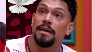 O que significa o termo 'pomba suja' usado por Vinícius no 'BBB 25'? Gíria regional revoltou Eva e Renata no game