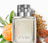 O Zaad Eau de Parfum é uma fragrância revigorante que apresenta nuances verdes herbais e notas cítricas