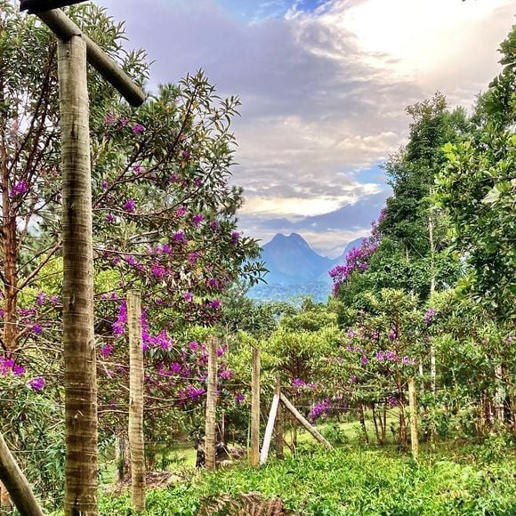 Sítio de Marcello Novaes tem uma nascente própria e até cachoeira particular