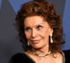 Sophia Loren, hoje aos 92: 'Envelhecer pode ser agradável e até divertido, se você souber usar o tempo, se está satisfeito com o que conseguiu e se continua sonhando'