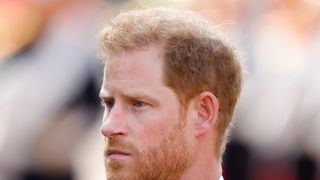 'Isso matou minha mãe': morte da Princesa Diana desenvolveu trauma profundo em Harry; Príncipe diz que era 'totalmente contra' trabalho na Família Real