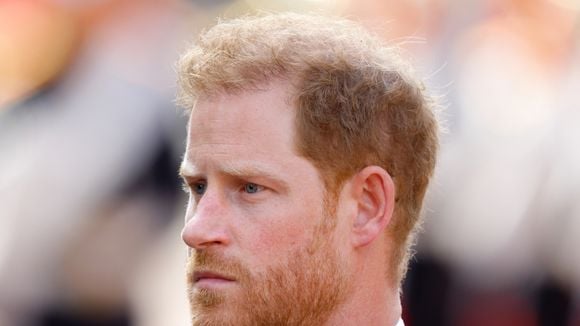 'Isso matou minha mãe': morte da Princesa Diana desenvolveu trauma profundo em Harry; Príncipe diz que era 'totalmente contra' trabalho na Família Real