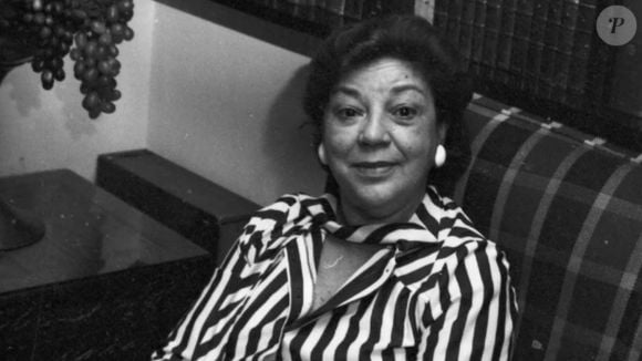 A novela 'A Viagem' teve autoria de Ivani Ribeiro.