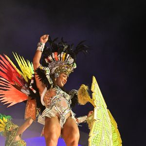 A ex-'BBB' Aline Patriarca foi destaque em carro alegórico