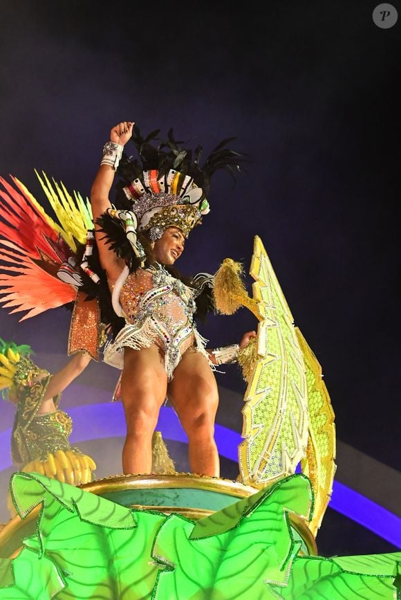 A ex-'BBB' Aline Patriarca foi destaque em carro alegórico