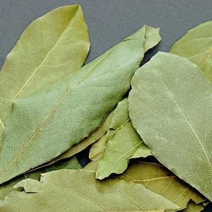 Estamos falando do louro! Um frasco de folhas secas é tudo o que você precisa para manter as baratas afastadas de casa