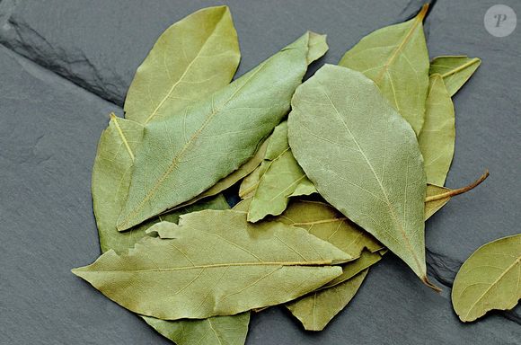 Estamos falando do louro! Um frasco de folhas secas é tudo o que você precisa para manter as baratas afastadas de casa