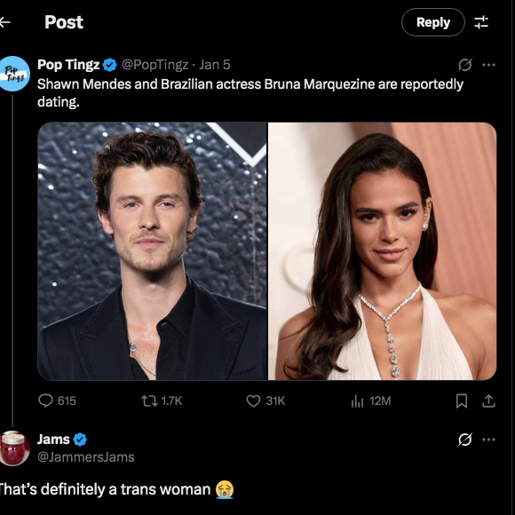 Em um post no X, Bruna Marquezine foi alvo de um comentário transfóbico de internauta, que comentou: "Isso definitivamente é uma mulher trans"