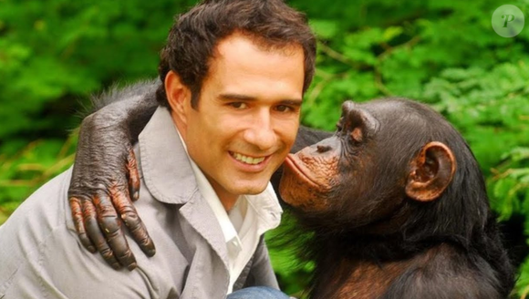 'Caras & Bocas', a novela 'do macaco Chico' explorava o mercado de arte paulistano, com galerias, bairros sofisticados e ambientes ligados ao universo cultural da capital.