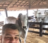 Maurcio Mattar sobre o futuro: "Hoje, isso representa meu futuro. Cada vez mais migro para o haras, para a fazenda, estruturando tudo para, no futuro, poder viver em paz, ao lado dos meus animais e da minha criação de gado Nelore.".
