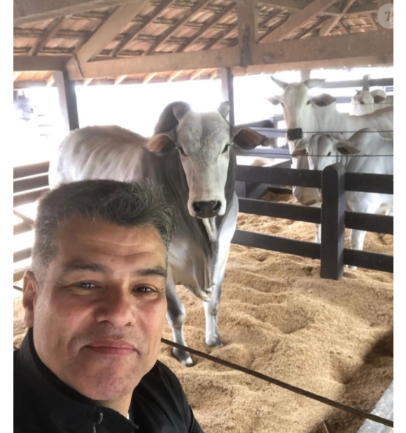 Maurcio Mattar sobre o futuro: "Hoje, isso representa meu futuro. Cada vez mais migro para o haras, para a fazenda, estruturando tudo para, no futuro, poder viver em paz, ao lado dos meus animais e da minha criação de gado Nelore.".