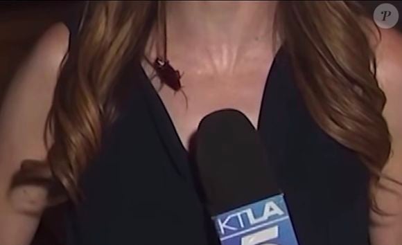 Novo medo desbloqueado! Enquanto falava sobre a onda de calor em Los Angeles, Rachel Menitoff recebeu uma visita inesperada: uma barata subiu por sua roupa, passou pelo pescoço e chegou até o microfone, sem interromper a transmissão