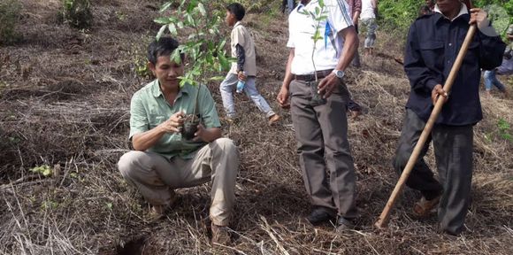 Fundação Maddox Jolie-Pitt trabalha ajudando a proteção de cerca de 60 mil hectares no Camboja