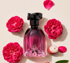 Floratta Rose Sucrée é inspirado na delicadeza das pétalas cristalizadas, o perfume aposta na intensidade da Rosa-Damascena recém-colhida, equilibrada com a assinatura clássica da linha Floratta
