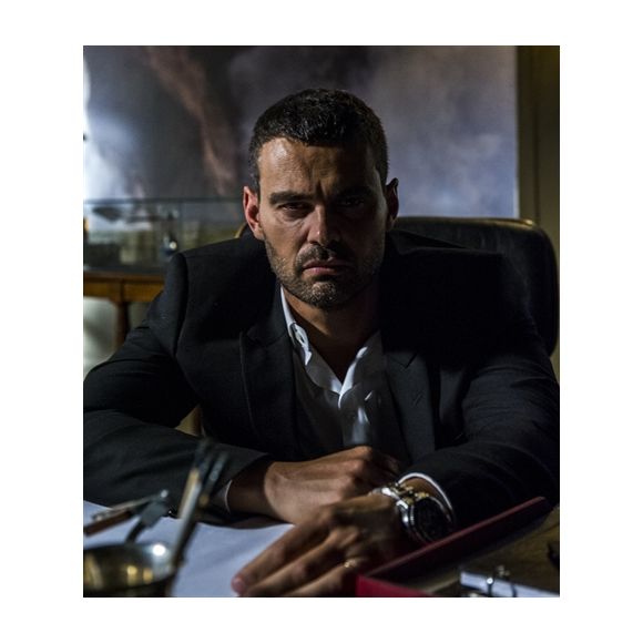 Carmo Dalla Vecchia brilhou em 'Império', um dos grandes sucessos da Globo em 2014