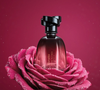 Floratta Rose Sucrée é o dupe baratinho de um perfume que marcou minha infância. Veja mais