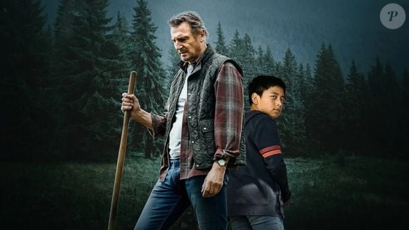Liam Neeson lidera o elenco de 'Na Mira do Perigo', thriller de ação de 2021 que deixará o catálogo da Netflix Brasil no fim de julho